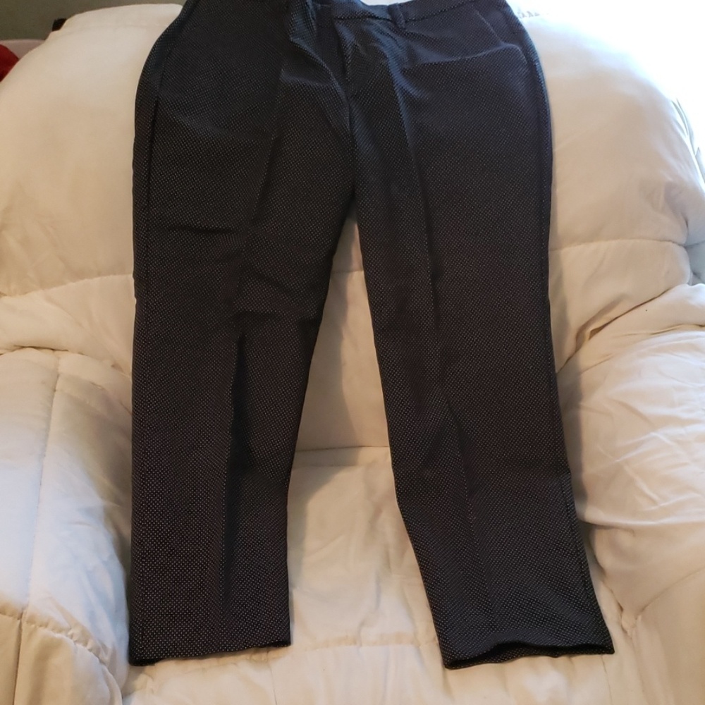 Dress Crop Pant NWOT